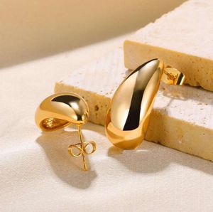 AA Stud Earrings Stainless Steel Water Drop Ear Piercing For Women Delicacy Fashion Ears Jewelry Gift Tendency Free Delivery 2024