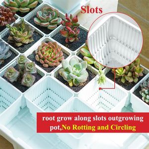 Meshpot 2 3 4 tum fyrkantig plast Succulents Planterare med bricka set barnkärl Kaktus Plant Pot Garden Pot LJ201222237Q