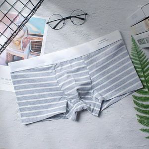Underpants 2024 Men's Striped Underwear Cool Stylish Boxer Shorts Cotton Breathable Boxers Sexy Low Waist Youth