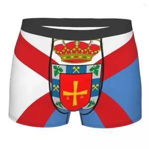 Трусы-боксеры, мужские удобные трусы, комплект нижнего белья с флагом El Bierzo, мужские боксеры