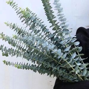 Flores decorativas Folhas de eucalipto artificial Dia dos Namorados Plantas falsas Ramos de folhas verdes para DIY Grinalda Festa de casamento Decoração de buquês