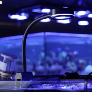 Belysning 18W Aquarium LED Light Marine Coral SPS LPS Aqua Sea Reef Tank Blue White Nybörjare 100240V för 3050 cm Little Seawater Tank