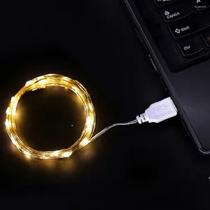 Strängar 1m 2m 3m USB LED -stränglampor DC 5V Silvertråd Garland Lätt vattentät älva för julbröllopsfestdekoration