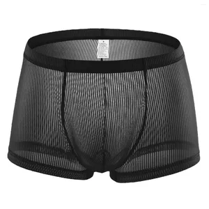 Underpants 2024 homens ver através de boxer shorts respiráveis ultra fino sheer cueca calcinha de malha boxers baixa ascensão bugle bolsa