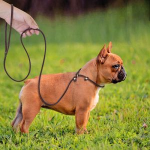 Leashes Real Leather P Chain Dog Leash Slip Collar pet Walking Leads Genuine Leather long Dog Rope puppy Traction For small Medium Dogs