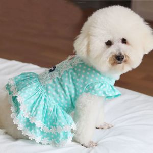 Skirts Pet Dog Summer Soft Cotton Vest Dresses Fashion Simple Dot Blue Lace Dress For Small Medium Dog Overalls Puppy Clothes Chihuahua