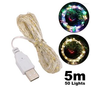 Dizeler 5m USB LED Peri Dize Işıkları Bakır Gümüş Tel Çelenk Noel Düğün Dekorasyonu için Işık Su Geçirmez