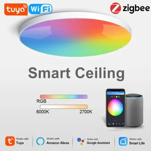 天井照明40W 24W Tuya Zigbeeスマートライトwifi rgbcw ledランプリビングルームホームデコレーションアレクサグーグル