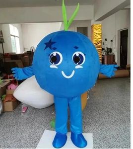 2014 Halloween Blueberry Mascot Costume Högkvalitativ anpassa Cartoon Foot Plush Anime Temakaraktär Vuxenstorlek Julkarneval
