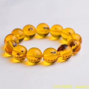 Strands Natural Baltic Amber Elastic Bracelet Men Women Honey Wax Insect Amberbeads Beaded Bangles Amulet Bracelets Girlfriend Mom Gift