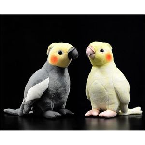 Pluszowe lalki p lalki 18 cm małe prawdziwe żółte zabawki z kakadu miękkie papugi nadziewane ptaki dla zwierząt