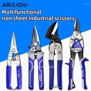 Professional Hand Tool Sets Iron Sheet Scissors Tin Metal Snip Aviation Scissor Multifunctional Cutting Straight Bent Industrial Tools