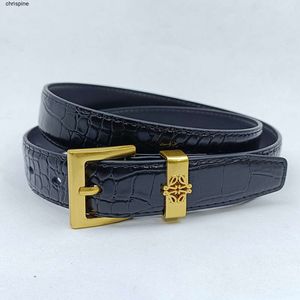 Belt designer belt luxury belts for women designer Solid colour fashion letter design belt leather material business model size 105-125cm many styles very good