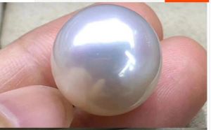 Gemstones Huge 1213mm natural sea genuine white round good luste loose pearl gem,genstone 284