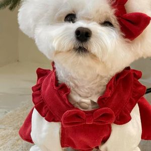 弓の服を着たアパレル犬の赤いドレス犬の派手なドレス犬のクリスマス服小さな犬の服子犬服2022