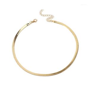 2021 Gold Silver Plated Adjustable 5MM Flat Snake Chain Herringbone Choker Necklace Simple Dainty Jewelry for Women 15 Chock264b