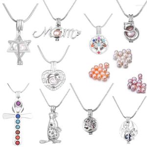 Ketten Mix 10 Stil Käfig Anhänger Set Charmante natürliche Perlen versilbert Schlangenkette Halskette Geschenke Frauen Mädchen Kinder PP15257z