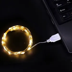 سلاسل 1M 2M 3M USB LED String Lights DC 5V Silver Wire Garland Light Fairproof Fairy for Christmas حفل زفاف الديكور