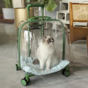 Cat Carriers Out Trolley Box Dog Space Transparent bärbar ryggsäck Spring och Summer Large Capacity Bag Pet Pet