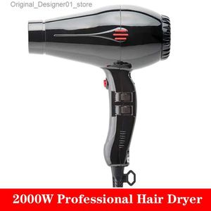 Hair Dryers Compact Professional Hair Dryer 2000W Blower with Concentrator 2 Speed 3 Heat Settings Cool Shut Button Lightweight Strong Winds Q240131