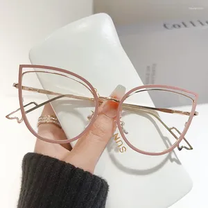 Sunglasses Frames Cat's Eye Pochromism Glasses For Women And Men Indoor Anti Blue Light Large Frame Protection