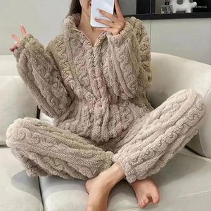 Kadın pijama peluş pijama seti rahat kış pijamaları stand yaka dokusu