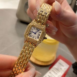 Cheetah Series Women's Quartz Oglądaj dwa rzędy osadzone złote srebrne zegarek 22 mm 27 mm