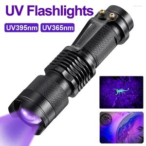 Flashlights facklor Mini LED UV -ficklampa 365/395NM Ultraviolet Portable Torch 3 -lägen Zoomable Violet Light Pet Urine Scorpion Detector