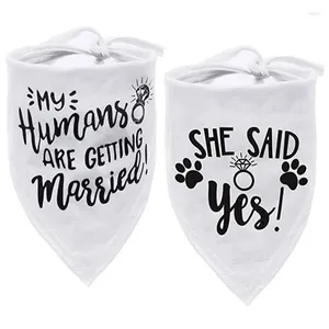 Dog Apparel My Humans Are Getting Married Cotton Saliva Towel Wedding Pet Accessories Marriage Bridal Shower Party Po Shoot Favors