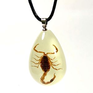 Custom Glow Real Insects Resin Pendant Necklace Insect Specimen Necklace Jewelry For Men 4784