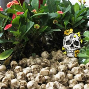 20pcs/Set Mini Skull Decor Horrible Skeleton Head Small Flowerpot Halloween Decoration Realistic Garden Home Party Craft Pendant 240119