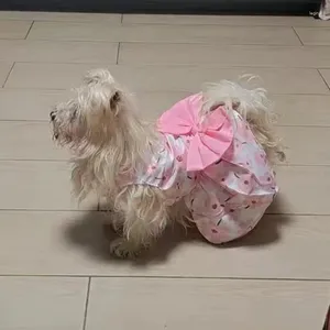 犬のアパレルかわいいプリントプリントプリンセスドレススモールドッグ夏のペット服チワワヨーキープードルスカートマスコタス衣類ベスティドス