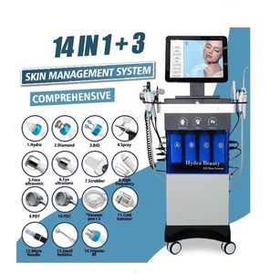 14 I 1 Hydra Beauty Skin Management Master Facial Care System HydroRermabrasion Syre Spray Multifunktion Salongutrustning