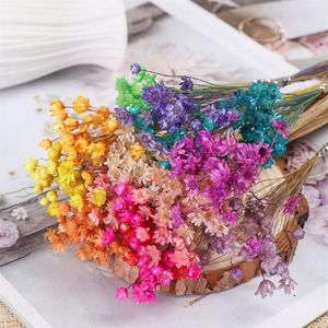 装飾的な花の花輪30pcsミニデイジースモールスターブーケカラフルな乾燥天然植物保存花の家の飾り264h