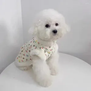 Abbigliamento per cani Pet Simpatico orso Cappotto rosa Vestiti Autunno Inverno Peluche Clip Gilet da trazione in cotone Bavaglino per gatti Cardigan ispessito