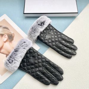 2024 10A Quality Designer Mitten Sheepskin Gloves for Women Winter Luxury Genuine Leather Brands Fingers Glove Warm Cashmere Inside Touch Screen -5