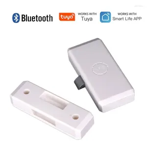 Smart Lock Tuya Bluetooth 키리스 캐비닛 라이프 앱 원격 제어 서랍 Swtich 보안 파일 Safe Home
