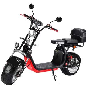 FEIVOS K3 Electric Bike 1000W 60V 45km/h Mountain Moped Ebike Electric Lithium Battery Adult Ebike