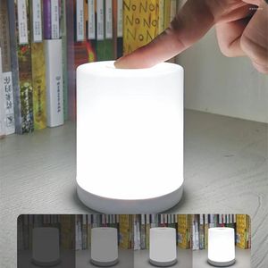 Night Lights Warm/White Light Touch Dimmable Table Lamp Portable Bedside Lamps USB Rechargeable For Living Room Decorations