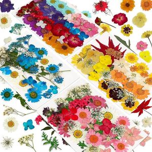 Dekorativa blommor kransar 144 st naturligt torkad pressad för hart torr blomma bulk örter kit ljus epoxi harts diy konst hantverk171w