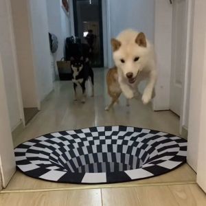 attest是什么意思