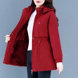 Hendek Sonbahar Kış Kadınlar Rüzgar Demeri Yeni Katı Kadife Sıcak Pamuklu Yastıklı Ceketler Orta Yaşlı Kadın Dış Giyim Orta Uzun Kapşonlu Paltolar