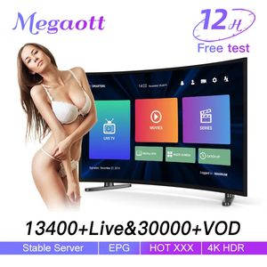 2024 European M3U High Clear 4 K Antenna Support Smart TV, TV Android ANDS iPhone, i Spanien, i USA, German Europe och USA gratis test Megaott