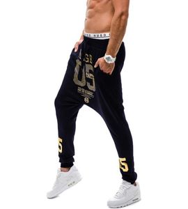 2018 Yeni Erkek Gokger Dance Swearpants Baggy Harem Pantolon Pantolon Pantolonlar Baskı Hip Hop High Street Pantolon Pantolon Sweatpants XXL3925361