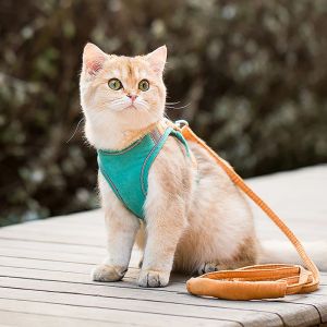 Conjunto de arnês e trela para animais de estimação, à prova de escape, treinamento, caminhada, para cães pequenos, gatos, coleira ajustável, trela para gatinhos, dropshipping