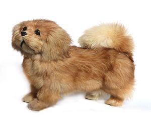 Dorimytrader Cuddly Likliknande Animal Pekingese Plush Toy fylld mjuk relistisk Poodle Toy Pet Dog Decoration Gift 20X26CM DY800094439736