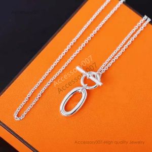 colar de jóias de designerShiny Zircon colar de pingente de prata Simples Long Strip Pingente Clavícula Cadeia Gargantilha Colar Presente Para Menina Jóias Finas Com caixa AAAAA