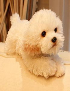 Sevimli yumuşak hayvan maltese köpek peluş oyuncak mini doldurulmuş yalancı hayvanlar evcil köpekler bebek bebek hediye araba dekorasyonu 35x12x14cm dy501387557432