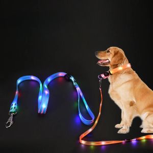 Kołnierze LED LED UP Dog Smycz smycz chodzący blask bezpieczeństwa w ciemnym ładowarce USB regulowany dla dużych średnich małych psich kołnierz dla zwierząt domowych