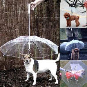 Leashes Creative Teddy Poodle Small Dogs Leading Umbrellas Walking Dogs Traveling Out Dogs Waterproof Poncho Pet Products